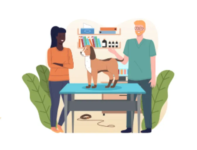 A Cartoon of a Veterinarian Talking to Client with a Brown Dog